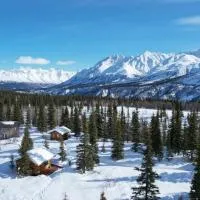 Little Bear Getaway Cabins: Glacier View şehrinde bir otel