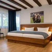 Hotel Reiterhof-Altmühlsee, hotel u gradu Guncenhauzen