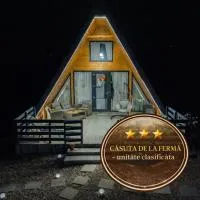 Casuta de la ferma, ξενοδοχείο σε Băiculeşti