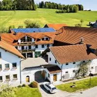 Ferienhof Naderhirn - Bauernhof, hotel i Wegscheid