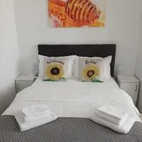 Sun Studio Onești, hotel i Onești