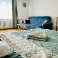 Duży apartament z kuchnią i łazienką w centrum Namysłowa, Hotel in Namysłów