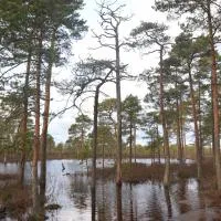 Suurejõe Holiday House, hotel a Suurejõe