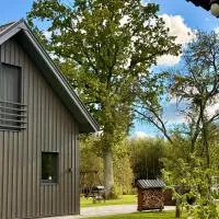 Brīvdienu māja & pirts meža vidū - Saraiķu Sanderi, hotell i Saraiķi