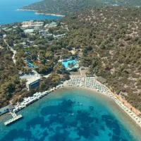 Bodrum Park Resort, hotel v destinácii Yaliciftlik