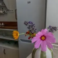 Apartmá se zahrádkou, hotel v destinaci Libkov