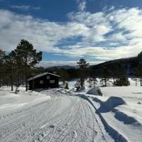 Cosy cabin between lake and mountain, hotel di Treungen