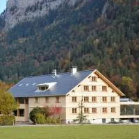 Hotel Tannahof, hotel en Au