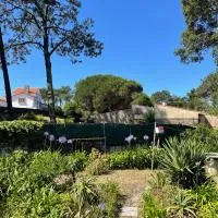 Casa do Pinhal, hotel em Moledo