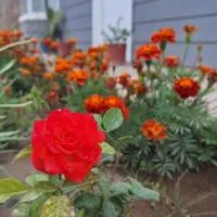 La casita: Zapala'da bir otel