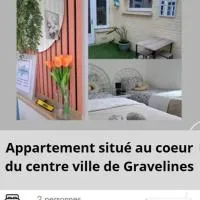 그라블린에 위치한 호텔 La gravelinoise 1 appartement cosy et lumineux en centre ville