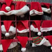 Rural life on a real Christmas tree farm! Hallmark experience!, hotelli kohteessa Ozark