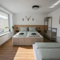 Schwarzwald Loft Bergblick, hotel din St. Blasien