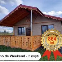 Cabana de lemn Runcu Stone, hotel i Runcu