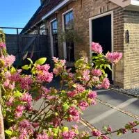 Authentiek vakantiehuisje nabij de Waddenzee โรงแรมในTzummarum