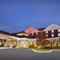 Hilton Garden Inn Detroit/Novi, hotel in Novi