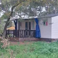 Bungalow climatisé dans pinede, hotel in Villemoustaussou