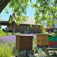 Agroturystyka u Joli, hotel u gradu Pacanów