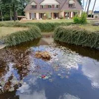 Le toit d'éco pins, hotel v mestu Le Luart