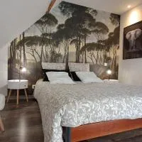 Chambre d'hôtes proche zoo de Beauval, l'olivier de chémery, hotel en Chémery
