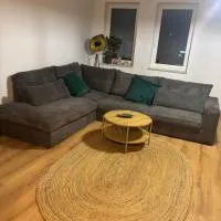 Apartament Przy Parku, hotell sihtkohas Bełchatów