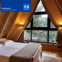 Molika Forest House, готель у місті Колашин
