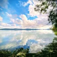 Lakeside 3-BR Forest Cottage, hotel v destinaci Laurieton