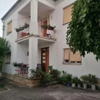 Kuca za odmor Marina Jelenkovic、Knjazevac.のホテル