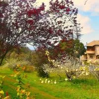Casa Rural La Gustoza, hotel em Sauzal