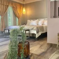 La Villa de los Alas - Boutique、Juayúaのホテル