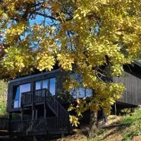 Nomad Hill Cabins, ξενοδοχείο σε Rugineşti