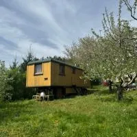 Cirkusz Udvar, hotel v destinaci Kapolcs
