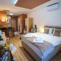 Studio DORA SS, hotell i Stari Banovci