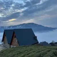 Cela Zeni Suit Bungalov, hotel u gradu Çamlıhemşin