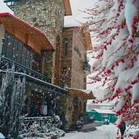 Hotel Alpine Musk, ξενοδοχείο σε Kanatal
