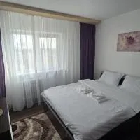 DelyMary Parc 1 Mai Apartament, отель в Крайове