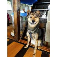 LongHillsEcoGuesthouse&Cafe - Vacation STAY 24885v, Hotel in Kinoshita