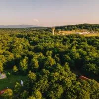 Arsenal Park Transilvania, hotel v destinácii Orăştie