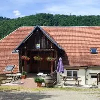 Gite la Prune Familiale, Hotel in Sainte-Marie-aux-Mines