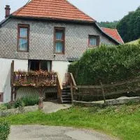 La Gentiane, Gîtes de La Fonderie, Hotel in Sainte-Marie-aux-Mines