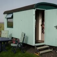 Bloemen Keet op een boeren camping, hotell sihtkohas Klundert
