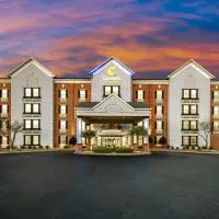 Comfort Suites Newport News Airport, hotel din Newport News