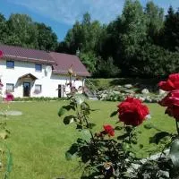 Agrowinnica, Hotel in Borzytuchom