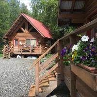 Hatcher Pass Cabins, hotell i Palmer
