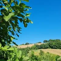 B&b Verdi Colline, ξενοδοχείο σε Serra deʼ Conti