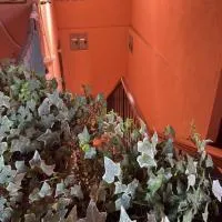 Dolce Vita, hotel en Albizzate