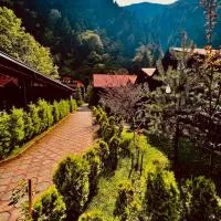 Akyuz Kardesler Hotel & Bungalow, hotel a Uzungöl