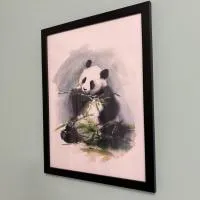 Panda Apartment Plac Solny 4 z klimatyzacją، فندق في جواجوف