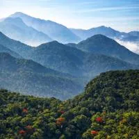 Jungle Park Resort-Rain Forest Experience by GreenEscapes – hotel w mieście Vythiri