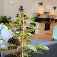 Appartement 2, hotel u gradu Obinji sir Ner